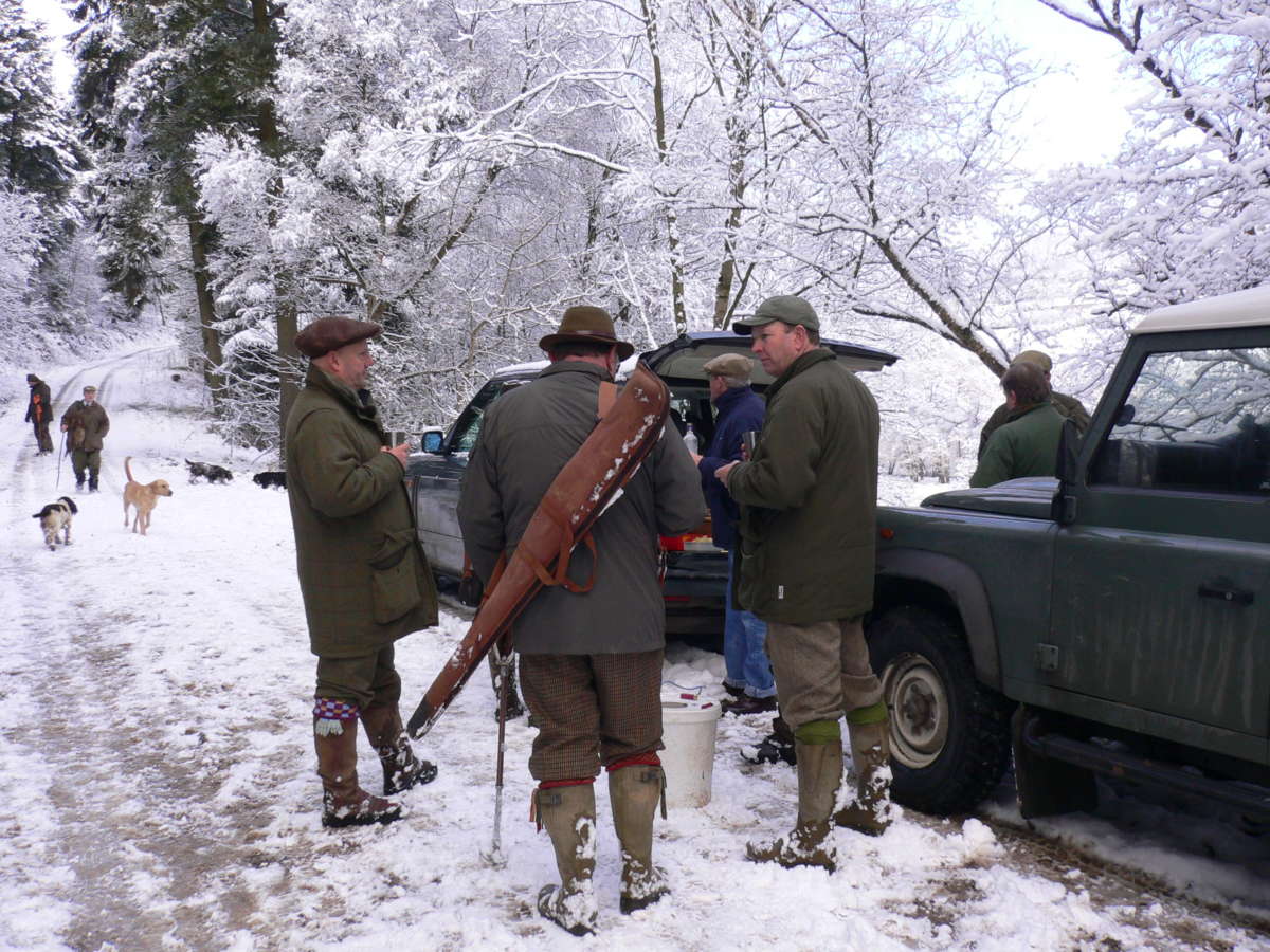 Wing shooting pheasant hunting